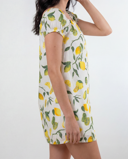 Lina Short Sleeve Cover Up Mini Dress in Slice of Life