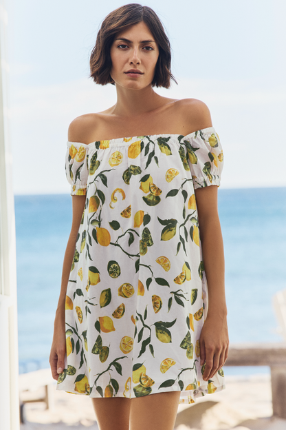 Lina Short Sleeve Cover Up Mini Dress in Slice of Life